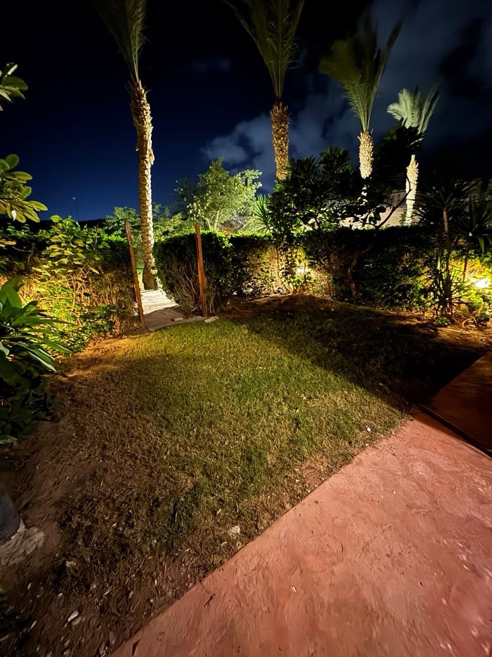 Photo 6