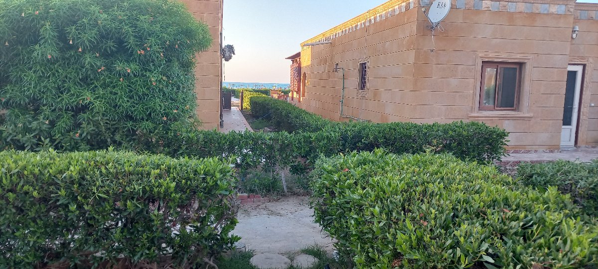 Chalet with garden sea view cleopatra resort1 photo 3